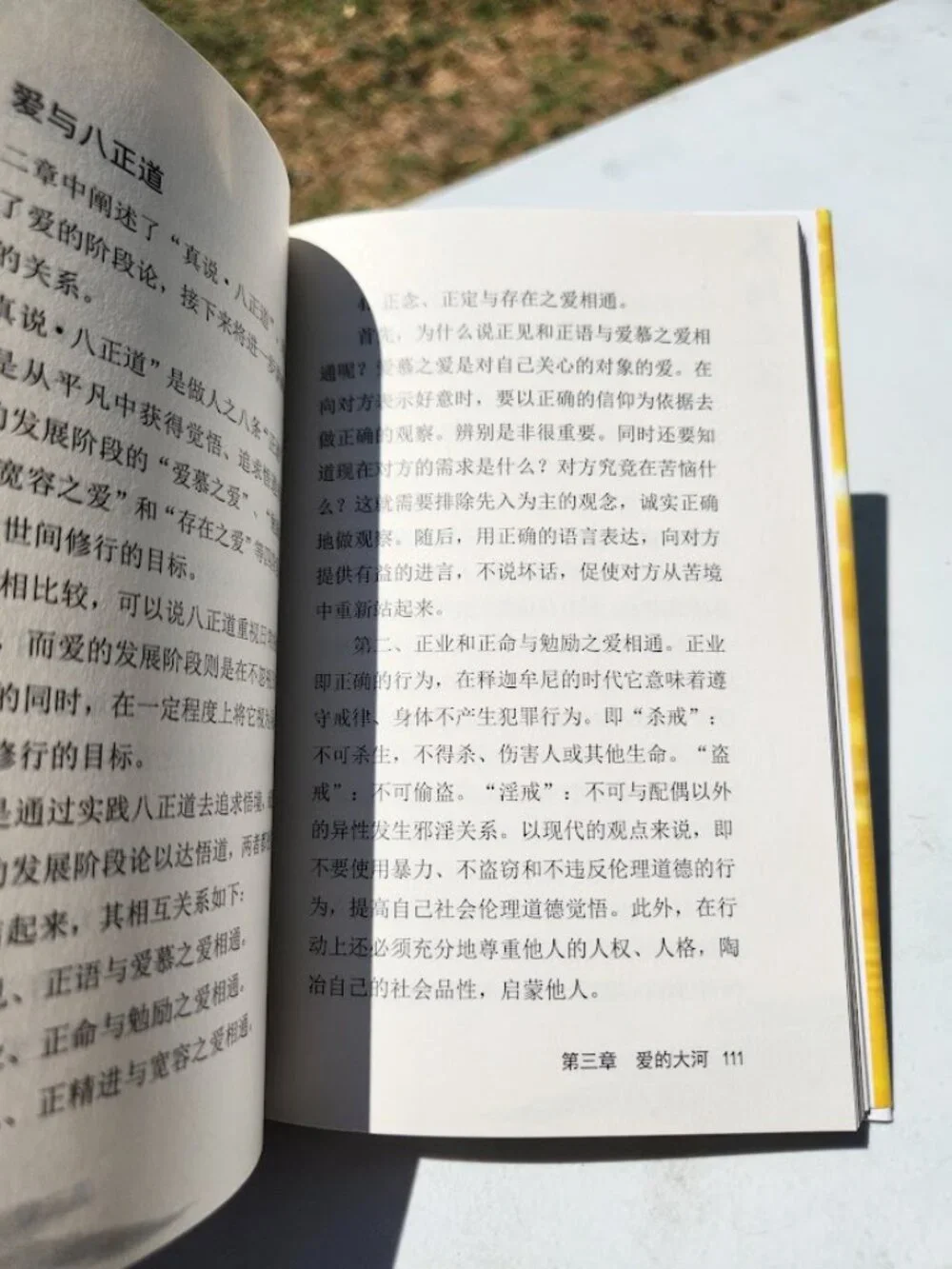 The Laws of the Sun by Ryuho Okawa Chinese edition Happy Science Religious Movem